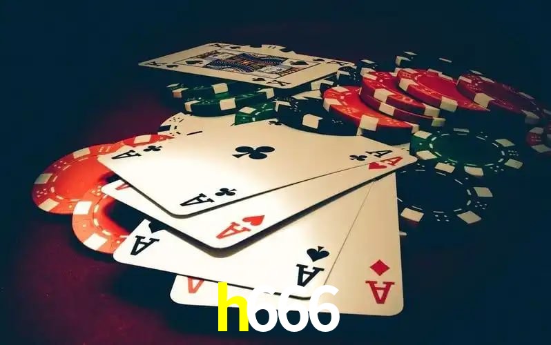 h666 Brasília - Betting Features